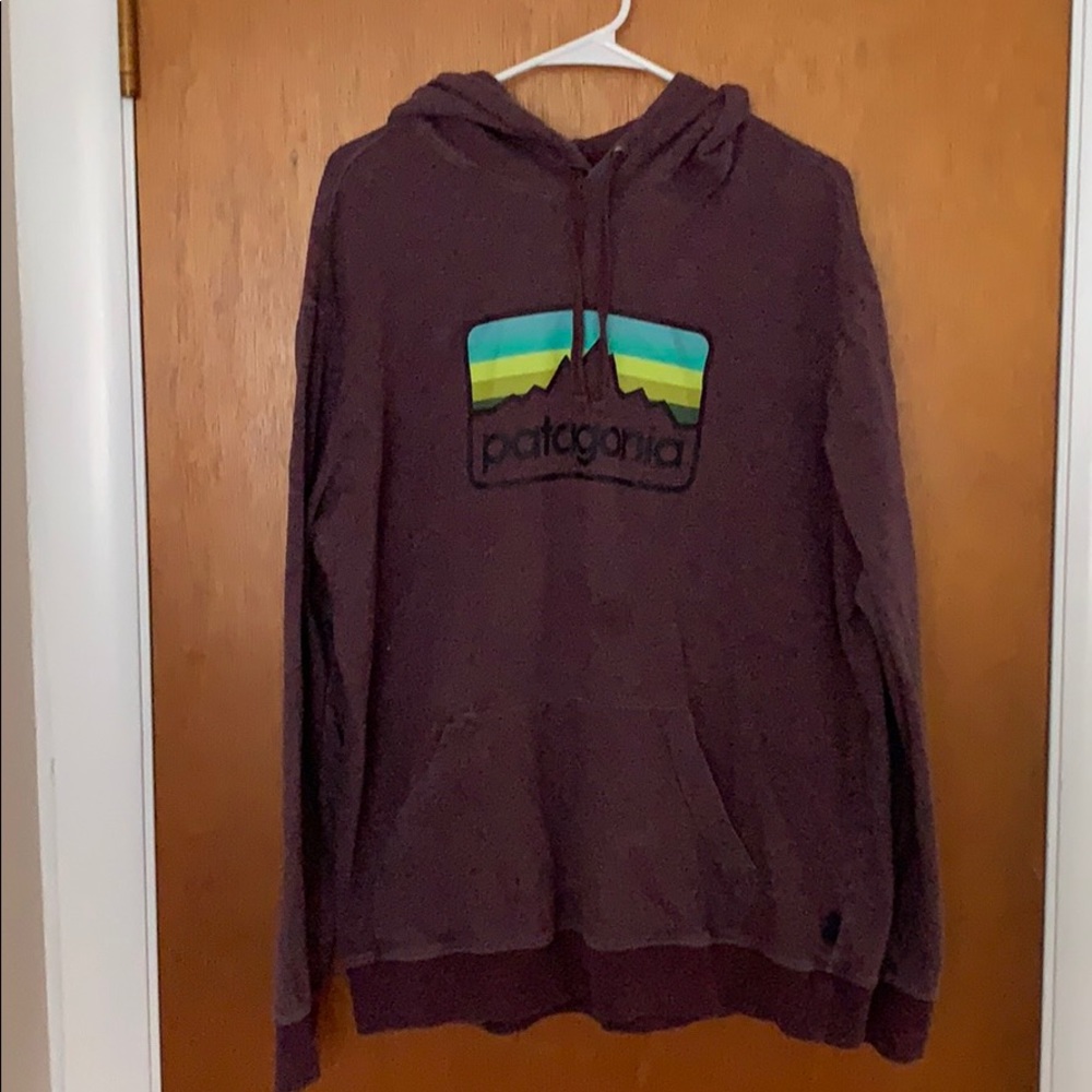 Patagonia Hoodie